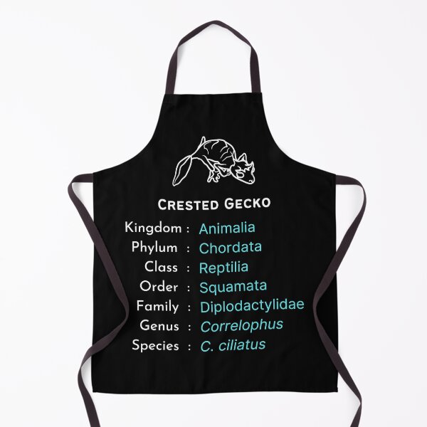 Item preview, Crested gecko lover b'day gift | Reptile keeper present designed and sold by OleeVO.