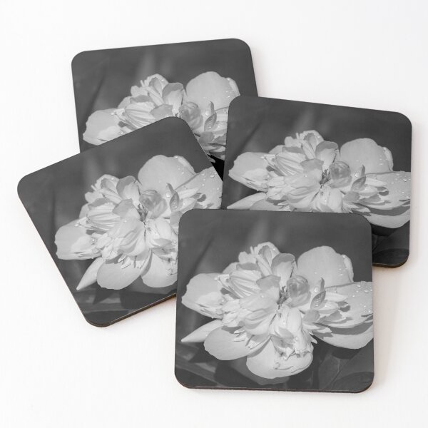 Item preview, Peony Black and White 2021-2 designed and sold by Thomasyoung.