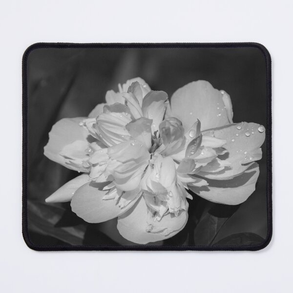 Item preview, Peony Black and White 2021-2 designed and sold by Thomasyoung.