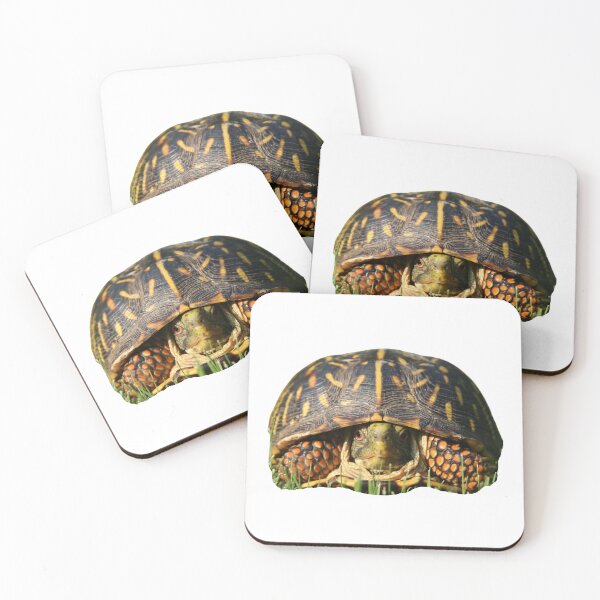 Item preview, 1st Hidden Sad Scared Depressed Eating Single Regular Turtles Turtles Stickers Bundle. Turtles Lover Essential Package. Cute, Adorable, and Funny Turtles. - Essential designed and sold by AnimalStickers-.