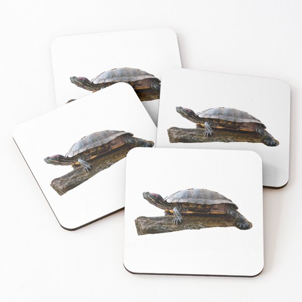 Item preview, 1st Majestic Chilling Smiling Calm Happy Single Regular Turtles Turtles Stickers Bundle. Turtles Lover Essential Package. Cute, Adorable, and Funny Turtles. - Essential designed and sold by AnimalStickers-.
