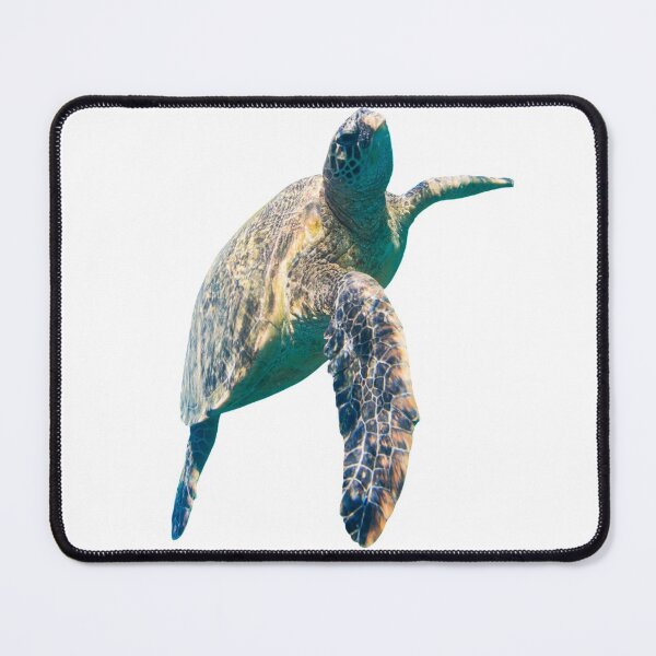 Item preview, 1st Smiling Cool Happy Swimming Beautiful Single Sea Turtles Turtles Stickers Bundle. Turtles Lover Essential Package. Cute, Adorable, and Funny Turtles. - Essential designed and sold by AnimalStickers-.