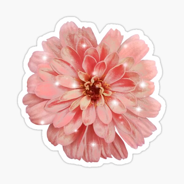 Field Guide to Zinnias, No. 13, Antique Pink Sparkles Zinnia Flower Sticker