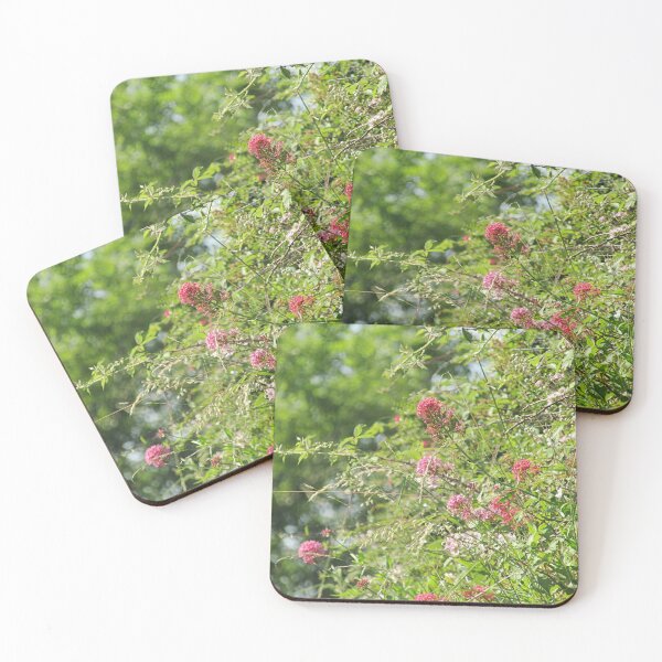 Item preview, red valerian flowers designed and sold by Bethan Rose Studio.