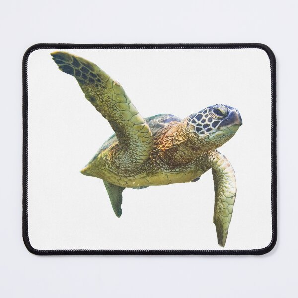 Item preview, 3rd Snarky Angry Bad Moody Disgusted Single Sea Turtles Turtles Stickers Bundle. Turtles Lover Essential Package. Cute, Adorable, and Funny Turtles. - Essential designed and sold by AnimalStickers-.