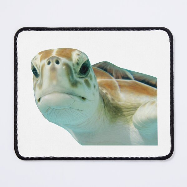 Item preview, 3rd Snarky Head Only Smiling Sad Depressed Unsatisfied Single Sea Turtles Turtles Stickers Bundle. Turtles Lover Essential Package. Cute, Adorable, and Funny Turtles. - Essential designed and sold by AnimalStickers-.