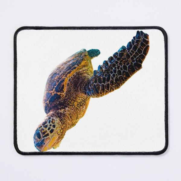 Item preview, 1st Snarky Smiling Grateful Beautiful Old Wise Single Sea Turtles Turtles Stickers Bundle. Turtles Lover Essential Package. Cute, Adorable, and Funny Turtles. - Essential designed and sold by AnimalStickers-.