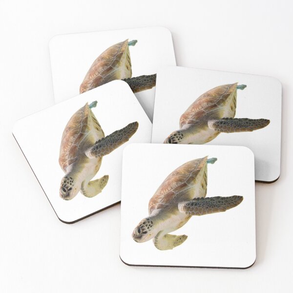 Item preview, 3rd Snarky Smiling Tricky  Majestic Single Sea Turtles Turtles Stickers Bundle. Turtles Lover Essential Package. Cute, Adorable, and Funny Turtles. - Essential designed and sold by AnimalStickers-.