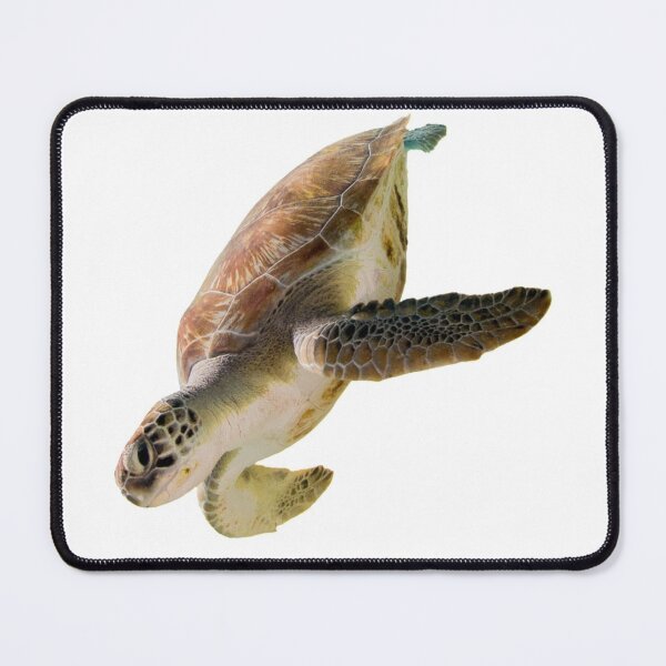 Item preview, 3rd Snarky Smiling Tricky  Majestic Single Sea Turtles Turtles Stickers Bundle. Turtles Lover Essential Package. Cute, Adorable, and Funny Turtles. - Essential designed and sold by AnimalStickers-.