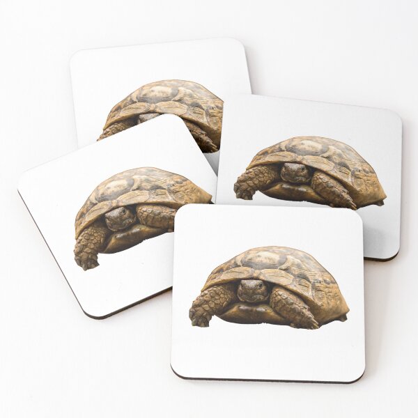 Item preview, 2nd Surprised Hidden Single Regular Turtles Turtles Stickers Bundle. Turtles Lover Essential Package. Cute, Adorable, and Funny Turtles. - Essential designed and sold by AnimalStickers-.