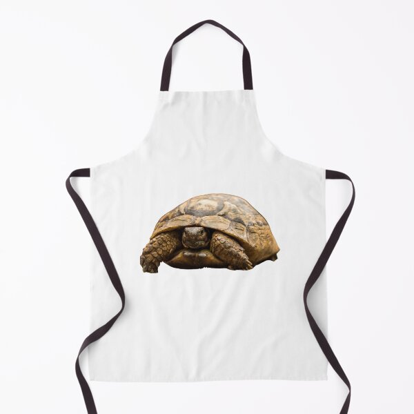 Item preview, 2nd Surprised Hidden Single Regular Turtles Turtles Stickers Bundle. Turtles Lover Essential Package. Cute, Adorable, and Funny Turtles. - Essential designed and sold by AnimalStickers-.