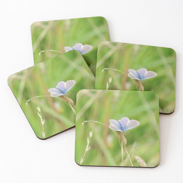 Item preview, blue butterfly on wheat designed and sold by Bethan Rose Studio.