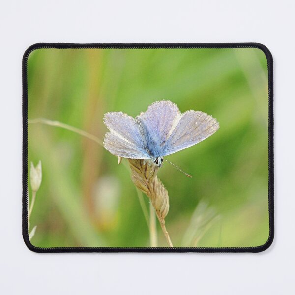 Item preview, blue butterfly on wheat designed and sold by Bethan Rose Studio.