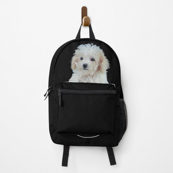 Item preview, Puppy in a pocket. White poodle puppy in a pocket. Funny, cute photo and line drawing pocket designed and sold by JellyBeenzz.
