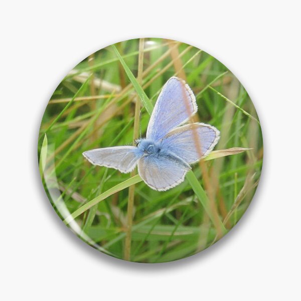 Item preview, blue butterfly in flight designed and sold by Bethan Rose Studio.