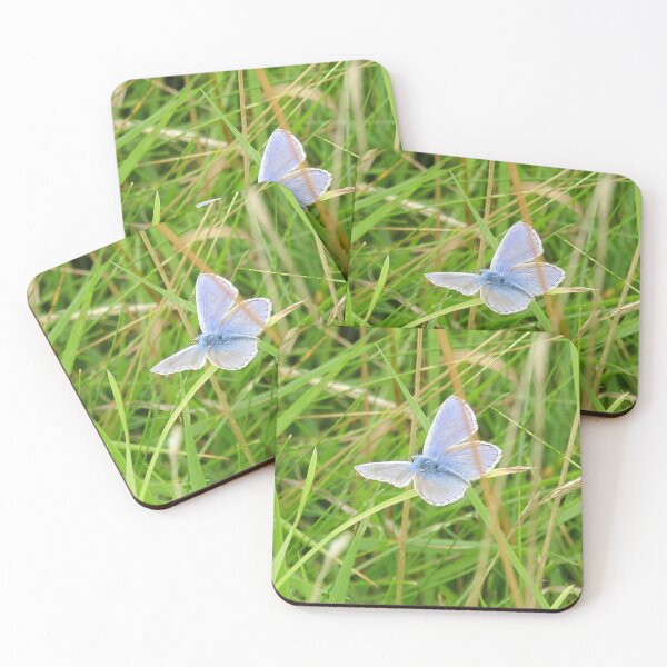 Item preview, blue butterfly in flight designed and sold by Bethan Rose Studio.