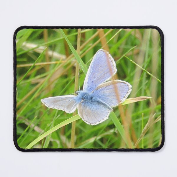 Item preview, blue butterfly in flight designed and sold by Bethan Rose Studio.