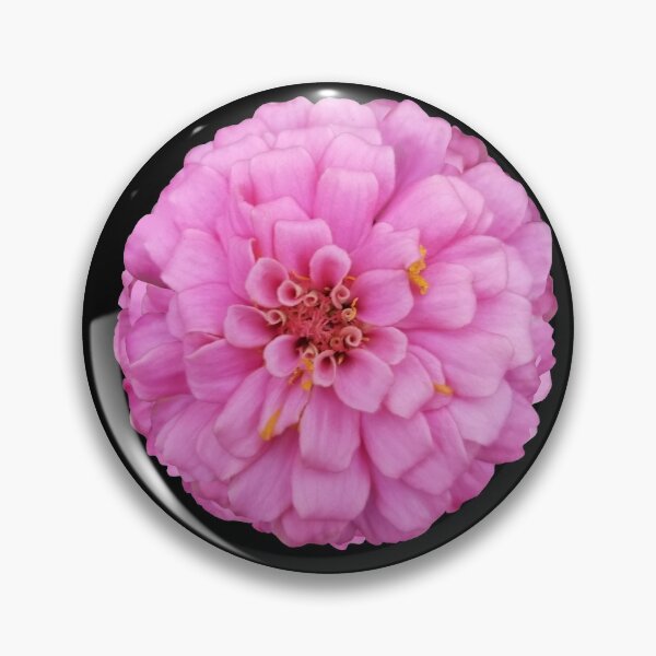 Item preview, Field Guide to Zinnias, No. 14, Sweet Pink Illumination Zinnia Flower designed and sold by Kristi Duggins.