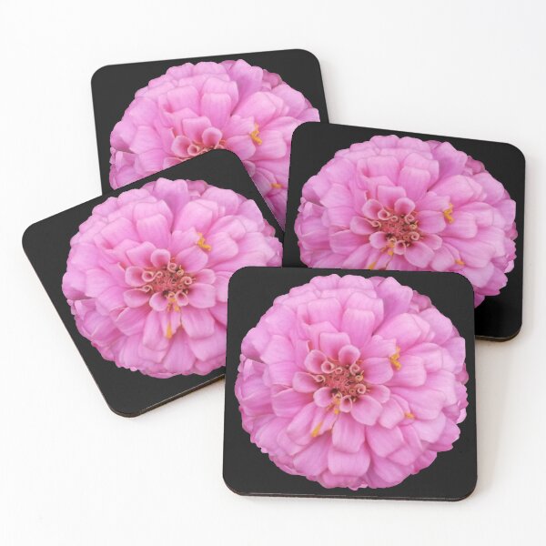 Item preview, Field Guide to Zinnias, No. 14, Sweet Pink Illumination Zinnia Flower designed and sold by Kristi Duggins.