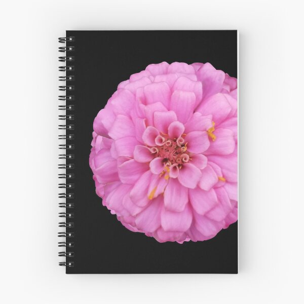 Item preview, Field Guide to Zinnias, No. 14, Sweet Pink Illumination Zinnia Flower designed and sold by Kristi Duggins.