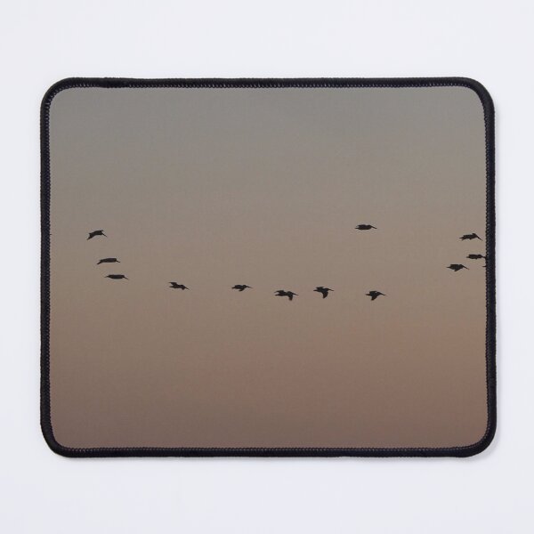 Item preview, Brown Pelicans at Dusk designed and sold by happynaturalist.