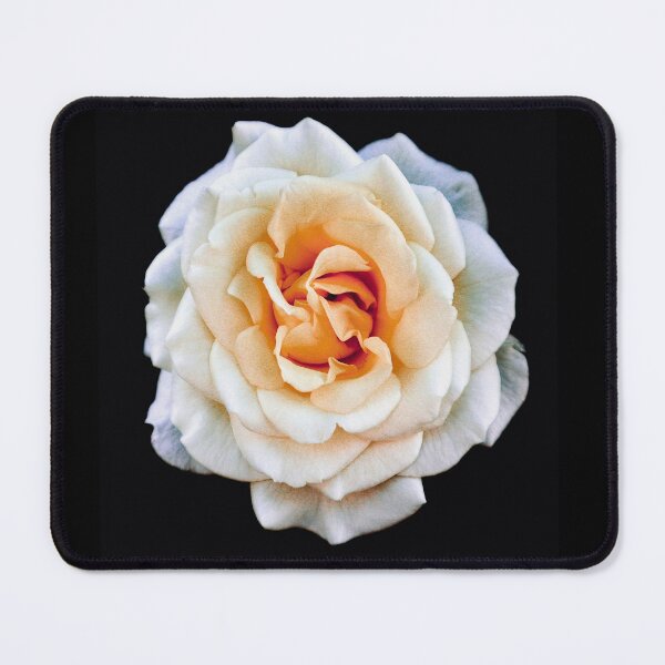 Item preview, Autumn Rose 2021 designed and sold by Angela Fazio.