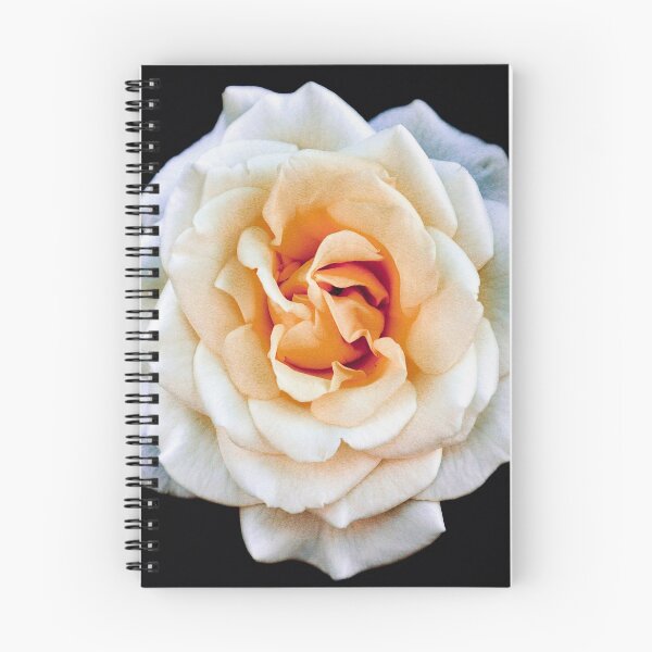 Item preview, Autumn Rose 2021 designed and sold by Angela Fazio.