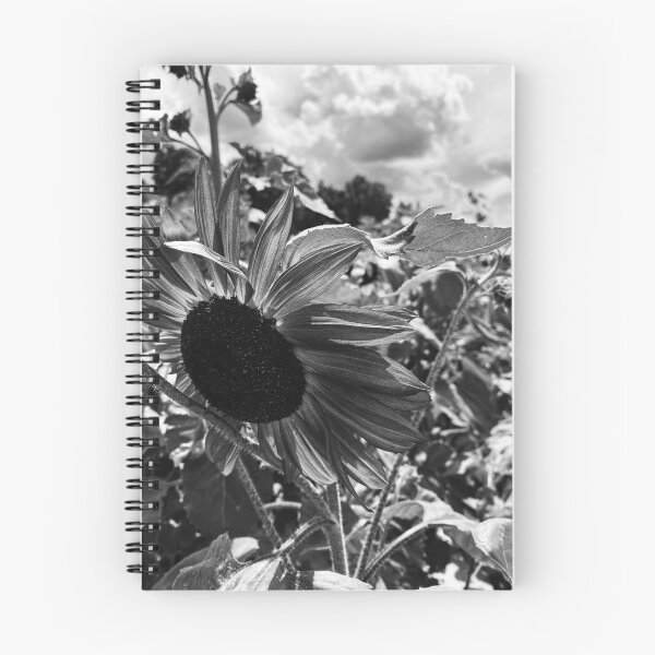 Item preview, Black and White, sunflowers in a field 2 designed and sold by CreativeAD.