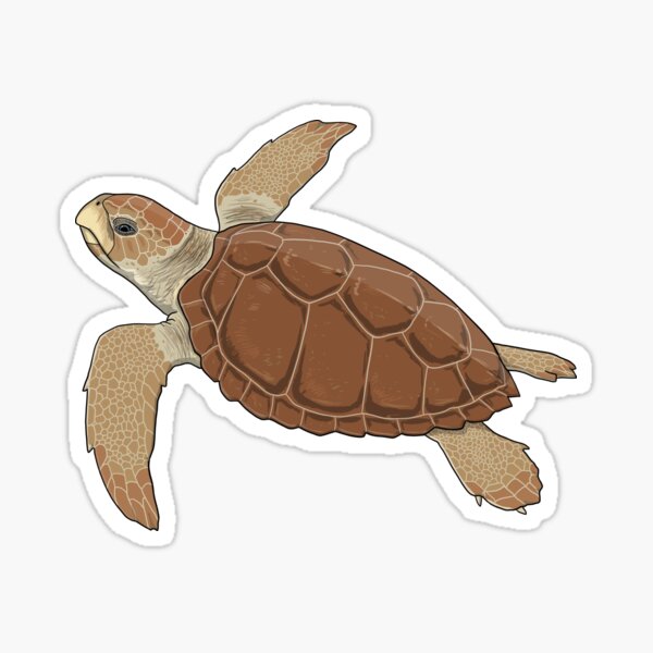 Item preview, Loggerhead Sea Turtle designed and sold by ArtByBreah.