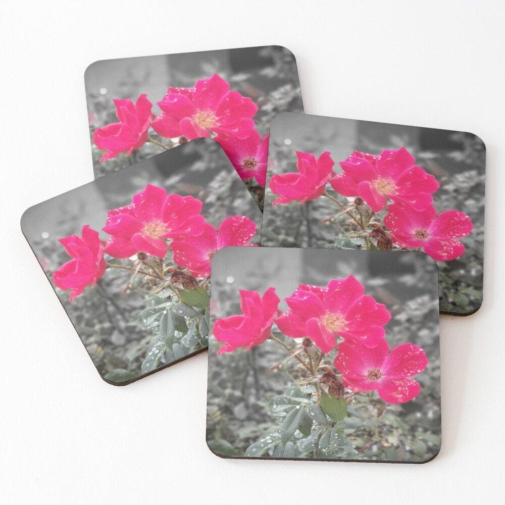 Item preview, Coasters (Set of 4) designed and sold by GothicApothic.