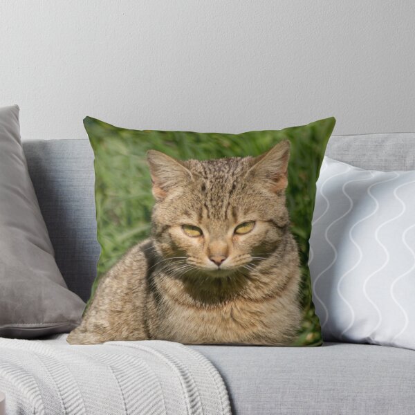 Item preview, slb kitty designed and sold by pcfyi.