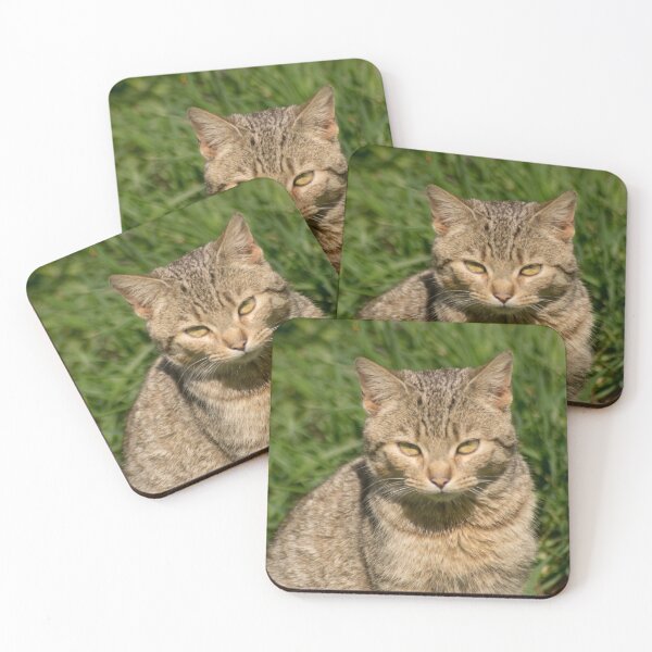 Item preview, slb kitty designed and sold by pcfyi.