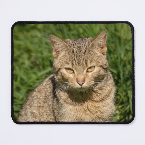 Item preview, slb kitty designed and sold by pcfyi.