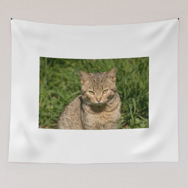 Item preview, slb kitty designed and sold by pcfyi.