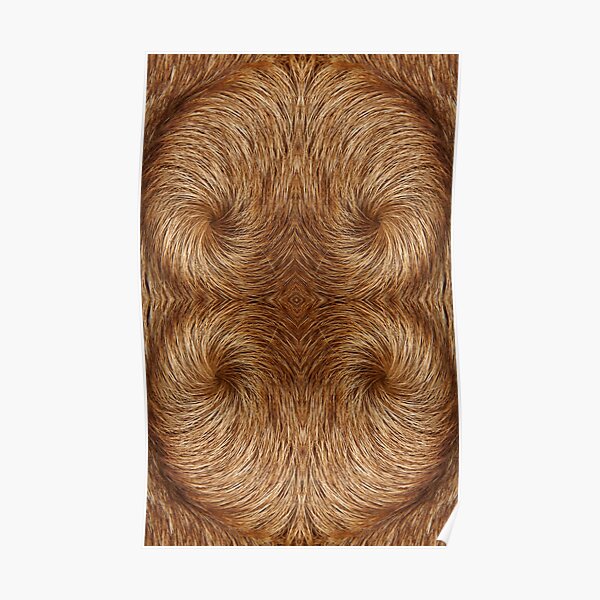 Ridgeback Twirl Poster