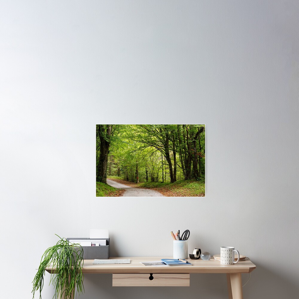 Item preview, Poster designed and sold by patmo.