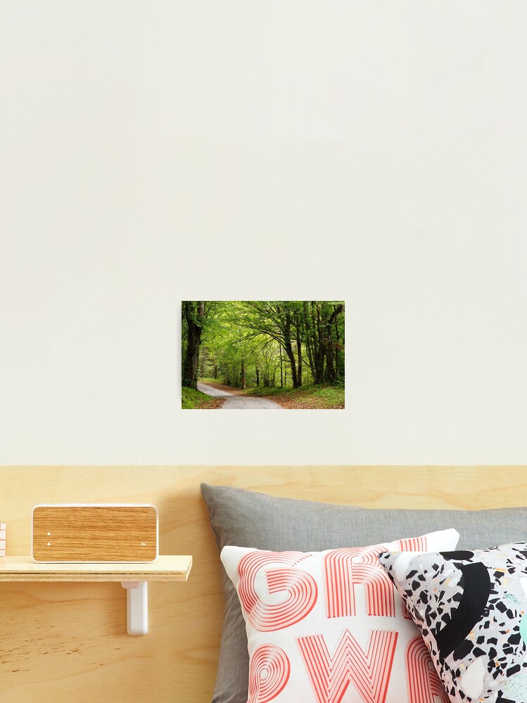 Thumbnail 2 of 3, Photographic Print, Road through autumn forest designed and sold by patmo.