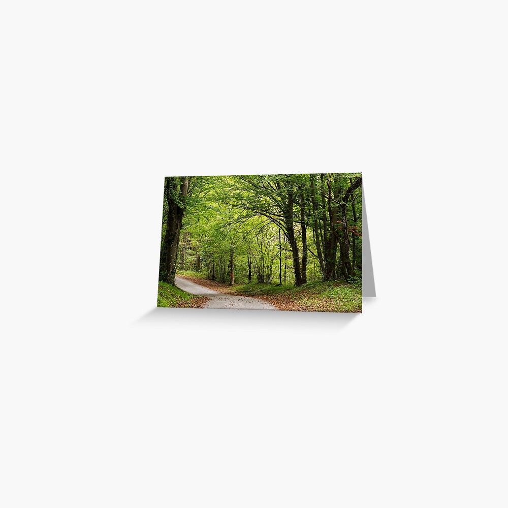 Item preview, Greeting Card designed and sold by patmo.