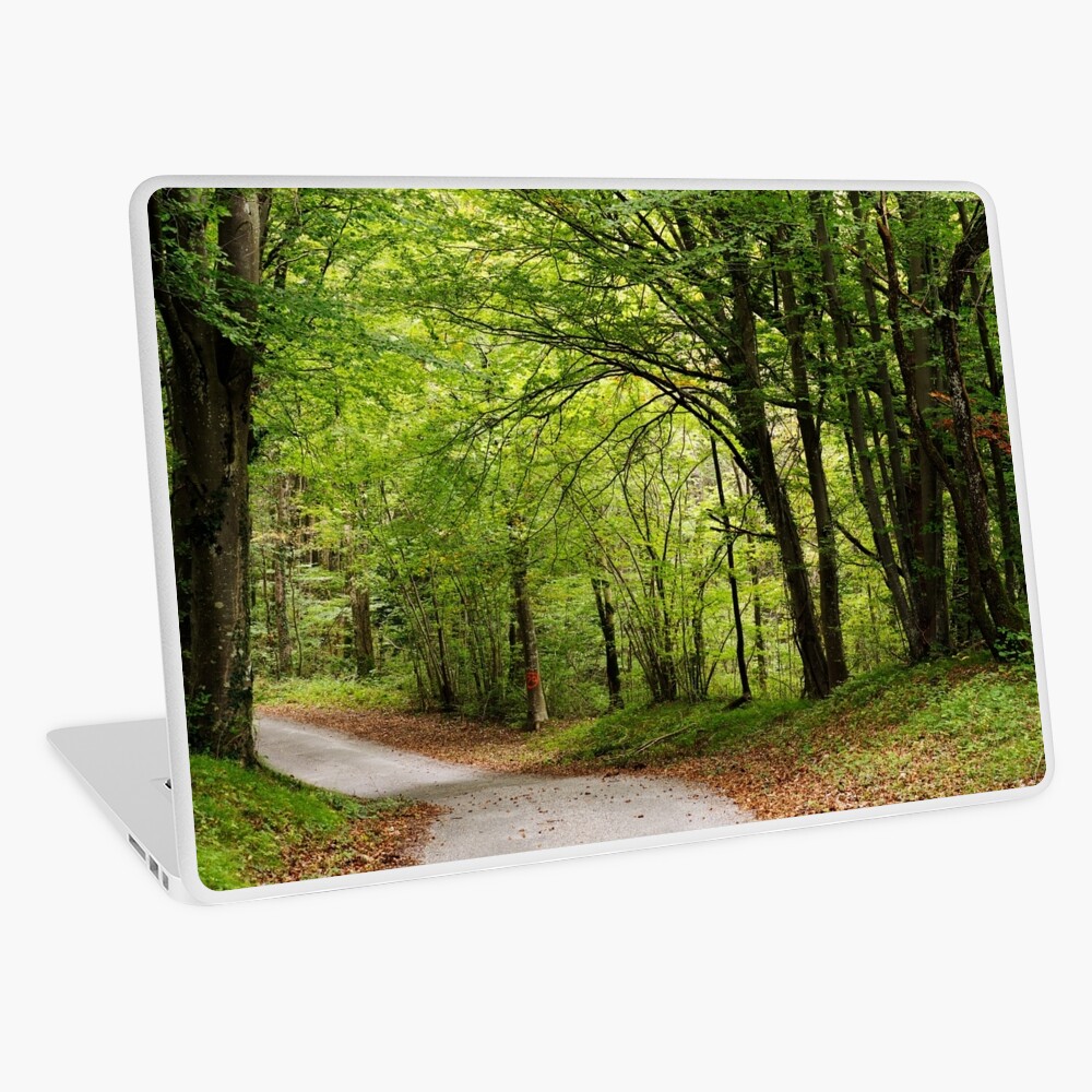 Item preview, Laptop Skin designed and sold by patmo.