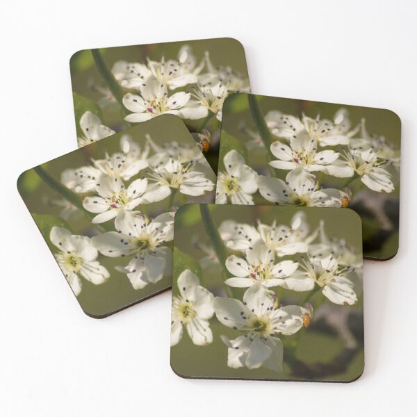Item preview, slb in full bloom designed and sold by pcfyi.