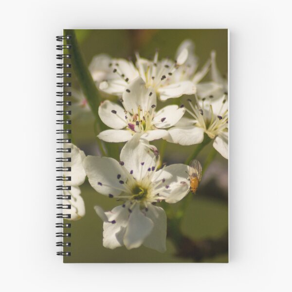 Item preview, slb in full bloom designed and sold by pcfyi.