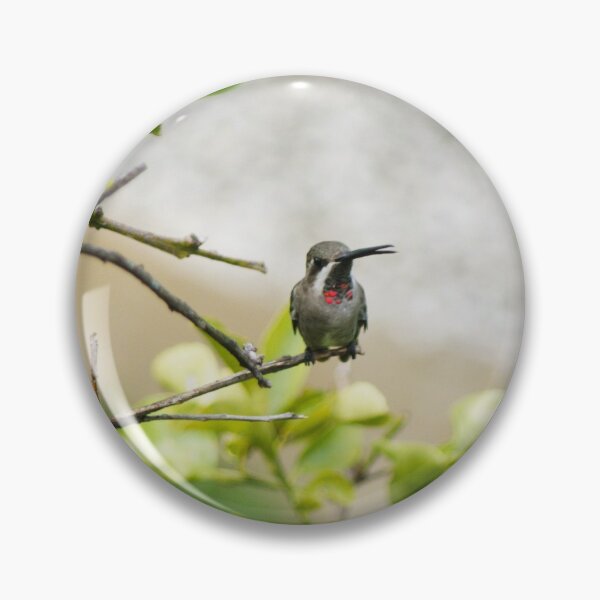 Item preview, slb hummingbird designed and sold by pcfyi.