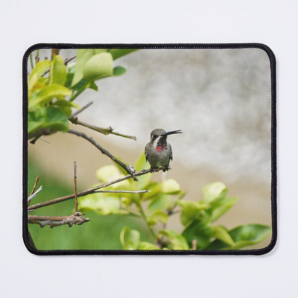 Item preview, slb hummingbird designed and sold by pcfyi.