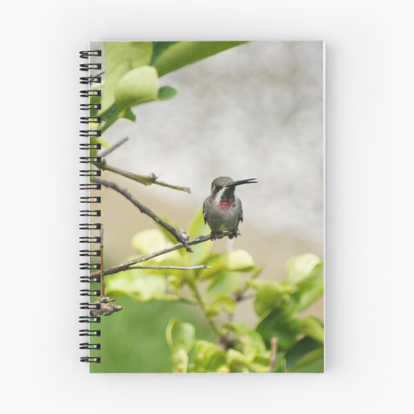 Item preview, slb hummingbird designed and sold by pcfyi.