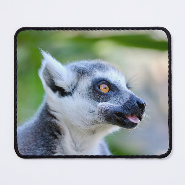 Item preview, Tongue Out Tuesday Lemur! designed and sold by Emmaline Jones.