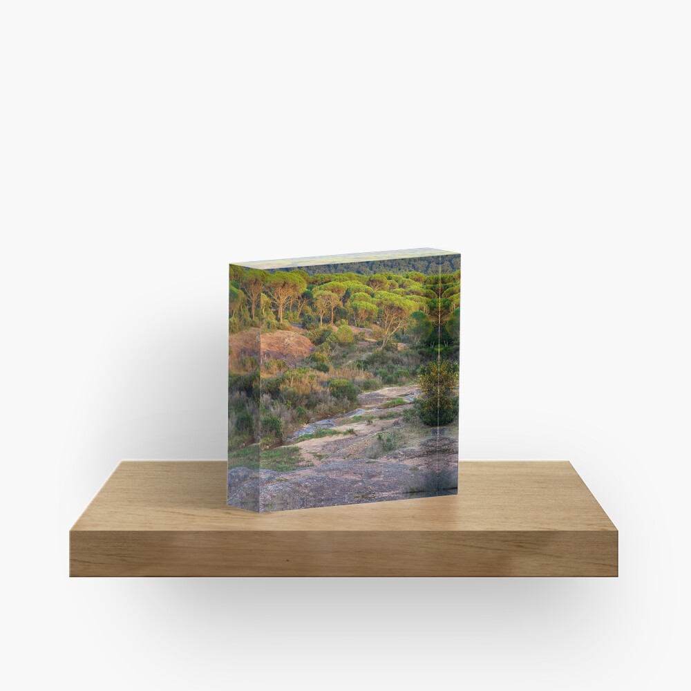 Item preview, Acrylic Block designed and sold by patmo.