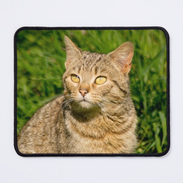Item preview, slb contemplate designed and sold by pcfyi.