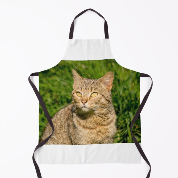 Item preview, slb contemplate designed and sold by pcfyi.