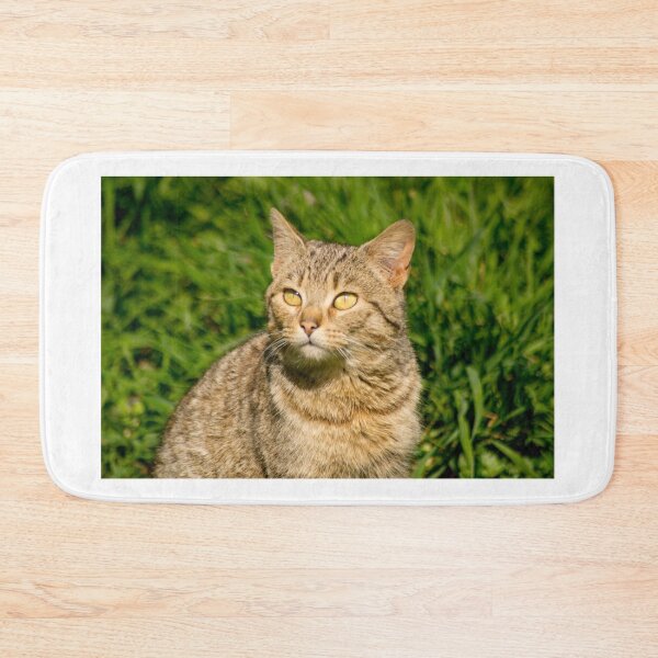 Item preview, slb contemplate designed and sold by pcfyi.