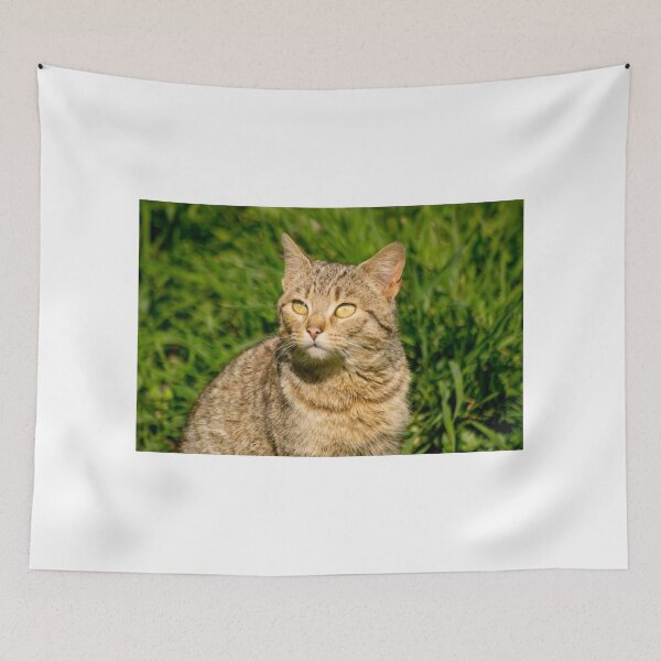 Item preview, slb contemplate designed and sold by pcfyi.